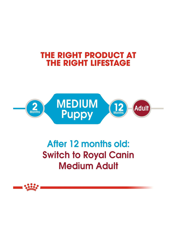 Royal Canin Size Health Nutrition Medium Puppy Dry Food for Dogs, 4Kg