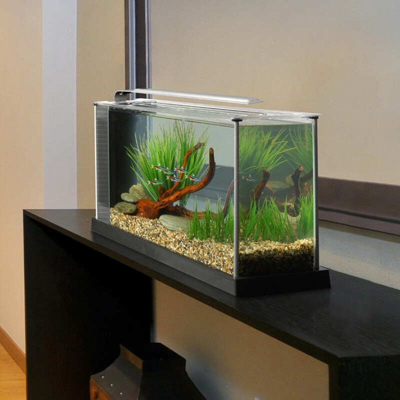 

Fluval Spec Aquarium Kit, 19 Liters, Clear/Black