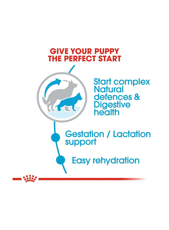 Royal Canin Size Health Nutrition Maxi Starter Dry Food Dogs, 15Kg