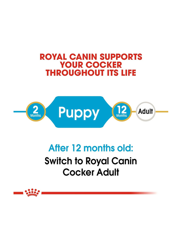 Royal Canin Breed Health Nutrition Cocker Dry Puppy Food, 3 Kg