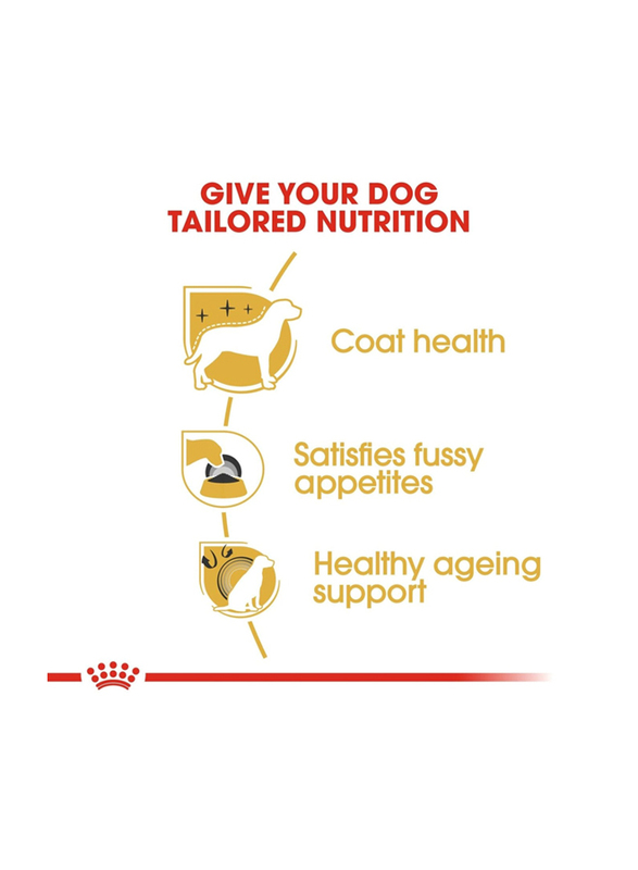 Royal Canin Breed Health Nutrition Yorkshire Adult Dry Dog Food, 1.5 Kg