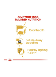 Royal Canin Breed Health Nutrition Yorkshire Adult Dry Dog Food, 1.5 Kg