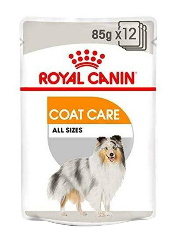 

Royal Canin Canine Care Nutrition Coat Beauty Wet Food for Dogs, 24 x 85g