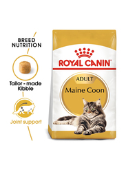 Royal Canin Feline Breed Nutrition Maine Coon Adult Cat Dry Food, 2Kg