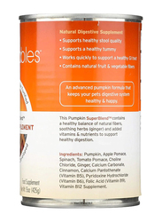 Fruitables Superblend Cats & Dogs Digestive Supplement, 425g, White/Orange