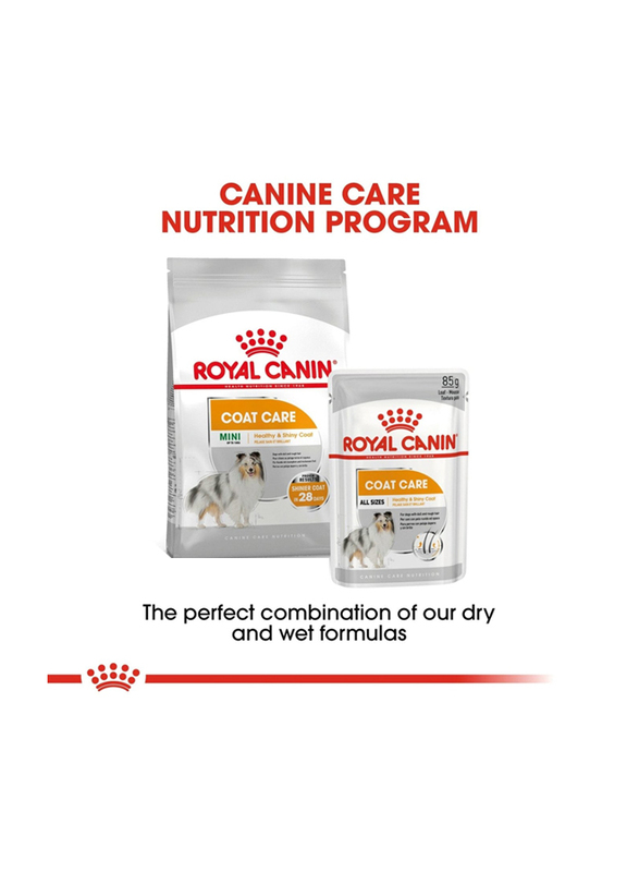 Royal Canin Canine Care Nutrition Coat Beauty Wet Food for Dogs, 36 x 85g