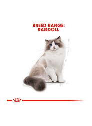 Royal Canin Feline Breed Nutrition Ragdoll Adult Cat Dry Food, 2Kg