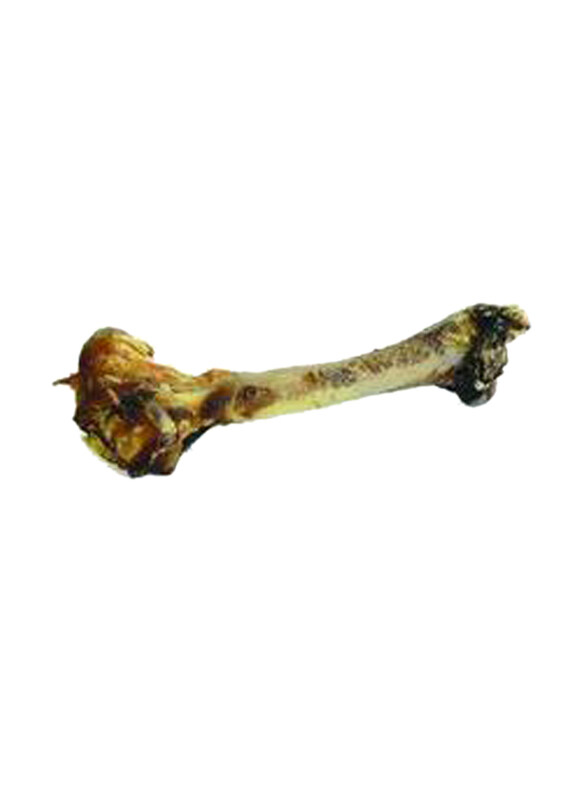 

Zeal Whole Venison Shanks Full Bone Dog Treat, 550g