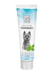 M-Pets Mint Flavour Toothpaste, 100g, White