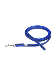 Julius-K9 Adjustable Leash with Handle, W2cm x L2 Meter, Blue/Grey