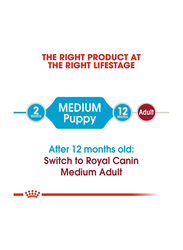 Royal Canin Size Health Nutrition Medium Puppy Dry Food for Dogs, 1Kg