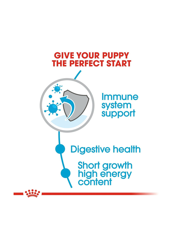 Royal Canin Size Health Nutrition Medium Puppy Dry Food for Dogs, 4Kg