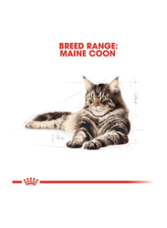 Royal Canin Feline Breed Nutrition Maine Coon Adult Cat Dry Food, 2Kg
