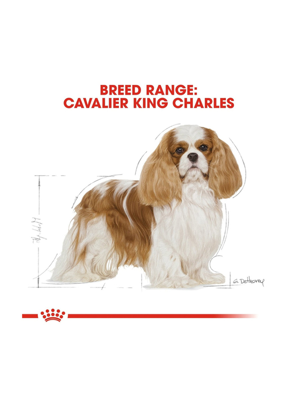 Royal Canin Breed Health Nutrition Cavalier King Charles Adult Dry Dog Food, 1.5 Kg