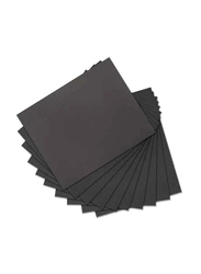 Tolsen 10-Piece Abrasive Paper Sheet Set, 32410, Black