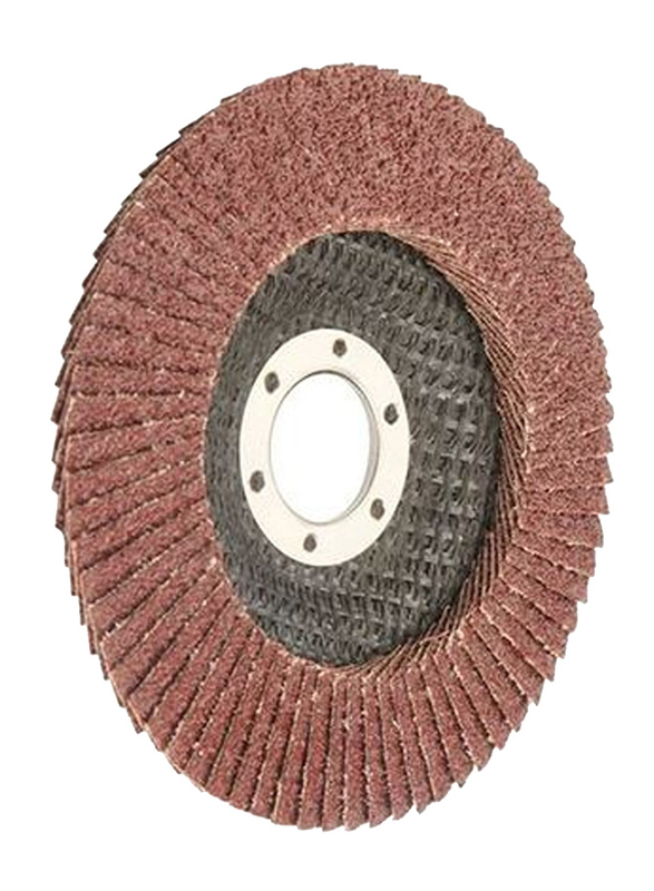 Tolsen 100x16mm 10-Piece Aluminium Oxide Flap Disc (Fibre Backing), 77205, Grey/Maroon