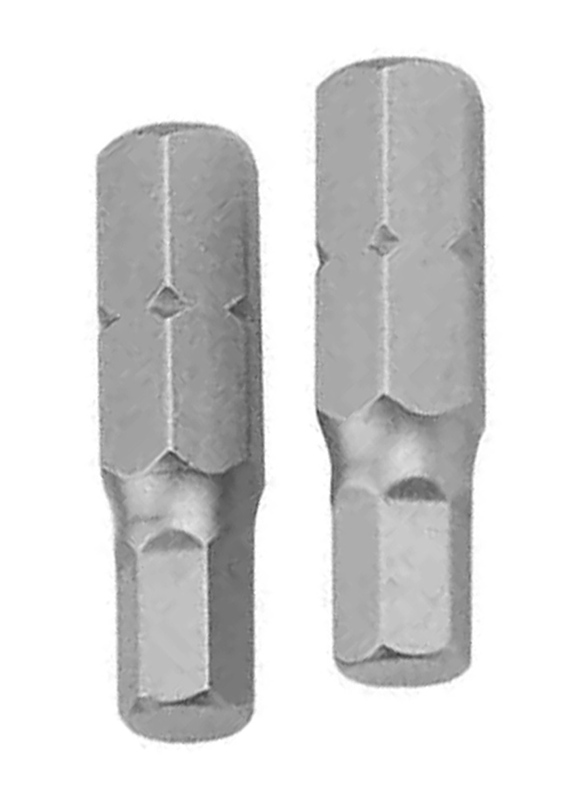 Tolsen H3 x 25mm Industrial Screwdriver Bits Set, 2 Pieces, 20233, Silver