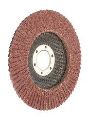 Tolsen 100x16mm 10-Piece Aluminium Oxide Flap Disc (Fibre Backing), 77203, Grey/Maroon