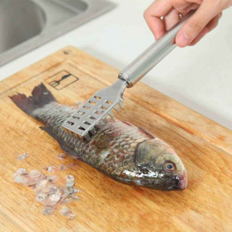 

Raj Stainless Steel Fish Slicer, Silver