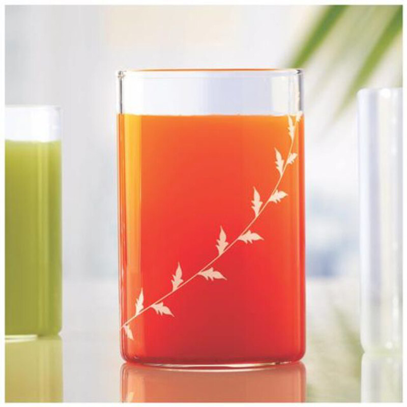 

Borosil 350ml 6-Piece Vision Glass, BVVIBLEAFWL, Clear