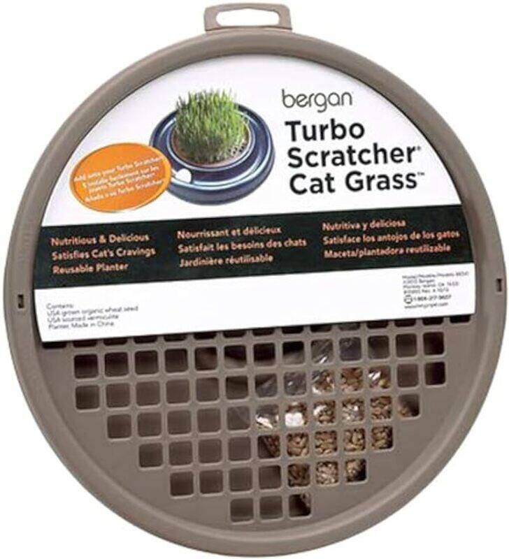 

Bergan Turbo Cat Grass Treat