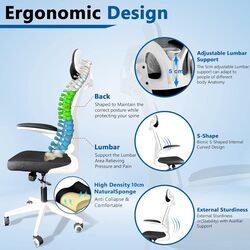 Empire Office Chair, Ergonomic Design with Back Support, for Office and Gaming, with Mesh breathable back, Headrest, and Armrest