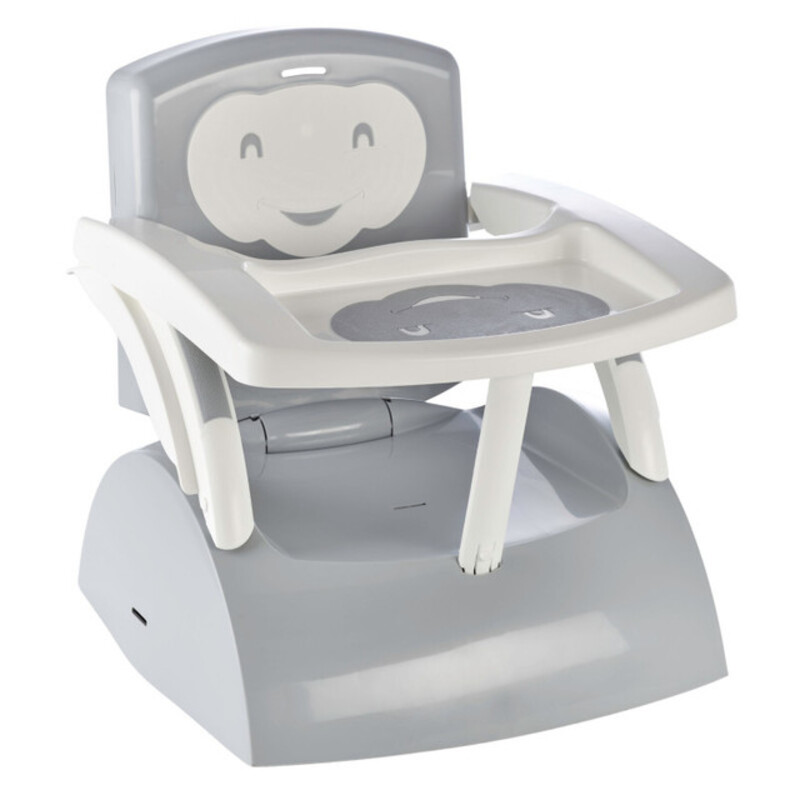 Scalable 2-in-1Booster Seat Grey