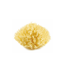 Honeycomb Natural Sponge