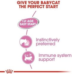 Feline Health Nutrition Mother & Babycat Mousse (WET FOOD - Cans)