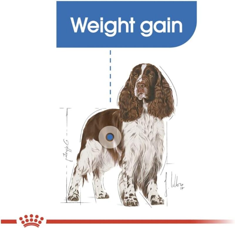 Canine Care Nutrition Medium Light Weight Care 12 KG