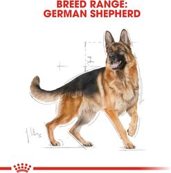 Breed Health Nutrition German Shepherd Adult 11 KG