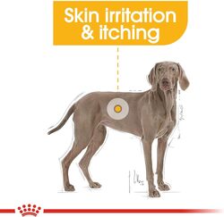 Canine Care Nutrition Maxi Dermacomfort 12 KG