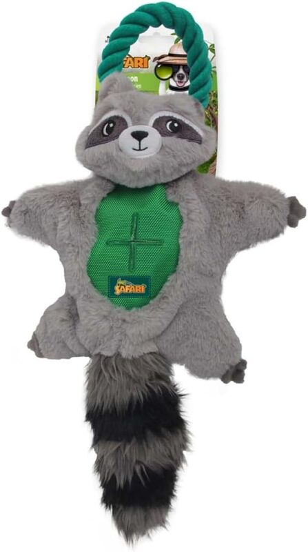 Safari Air Raccoon