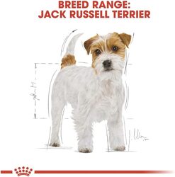 Breed Health Nutrition Jack Russell Adult 1.5 KG