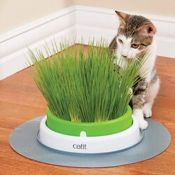 Catit Senses 2.0 Grass Planter