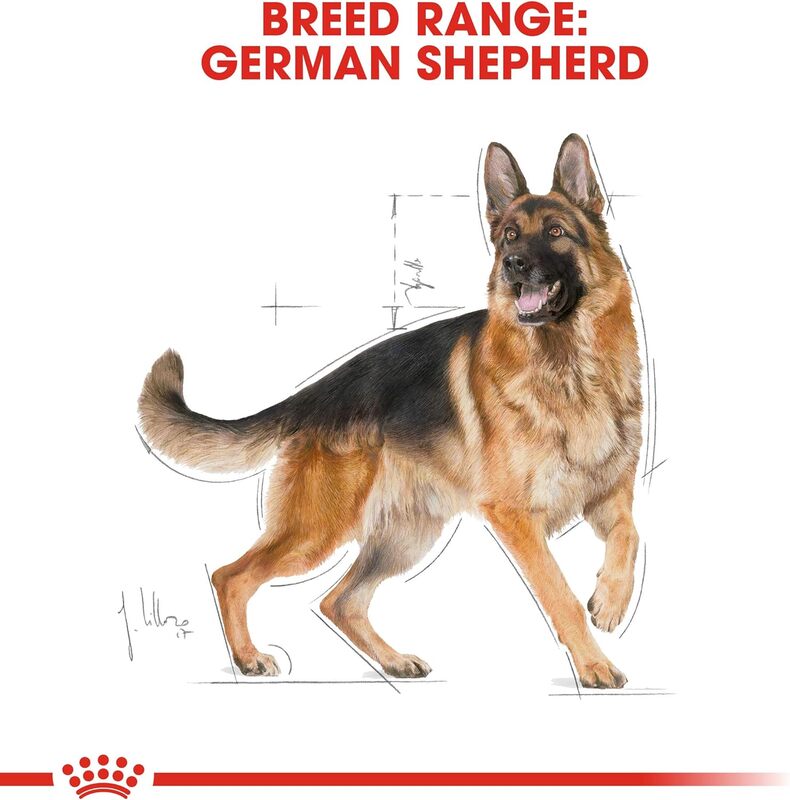 Breed Health Nutrition German Shepherd Adult 3 KG
