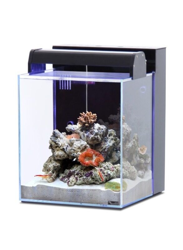 

Aqualantis NANO MARIN 40 AQUARIUM OPTIWHITE GLASS BLACK 32.9x34.8x42.8cm