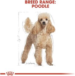 Breed Health Nutrition Poodle Adult 7.5kg