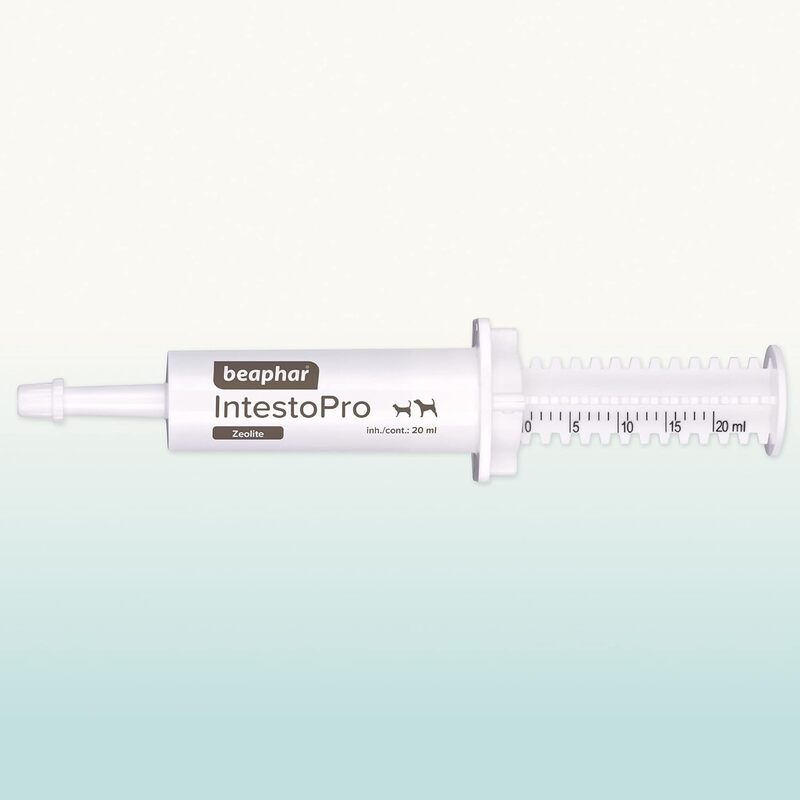 IntestoPro Anti Diarrhea Paste Syringe Small Dog and Cat 20ml