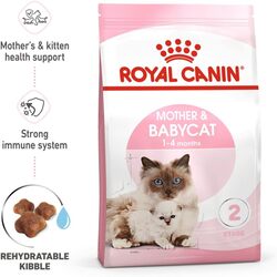 Feline Health Nutrition Mother and Babycat 2 KG