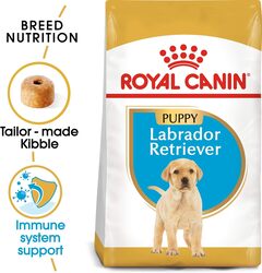 Breed Health Nutrition Labrador Puppy 3 KG
