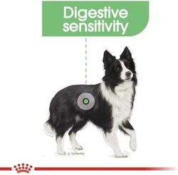 Canine Care Nutrition Medium Digestive Care 12 KG