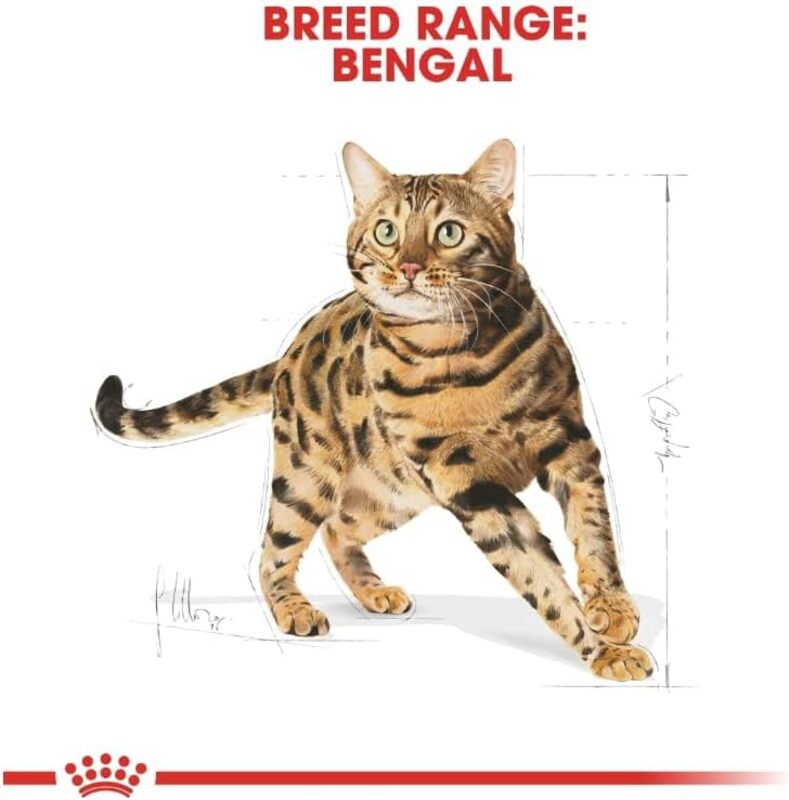 Feline Breed Nutrition Bengal Adult 2 KG