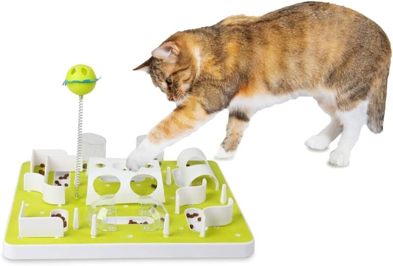 Interactive Cat Treat Maze