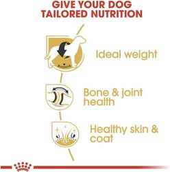 Breed Health Nutrition Labrador Adult 3 KG