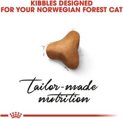 Feline Breed Nutrition Norwegian Forest Cat Adult 2 KG