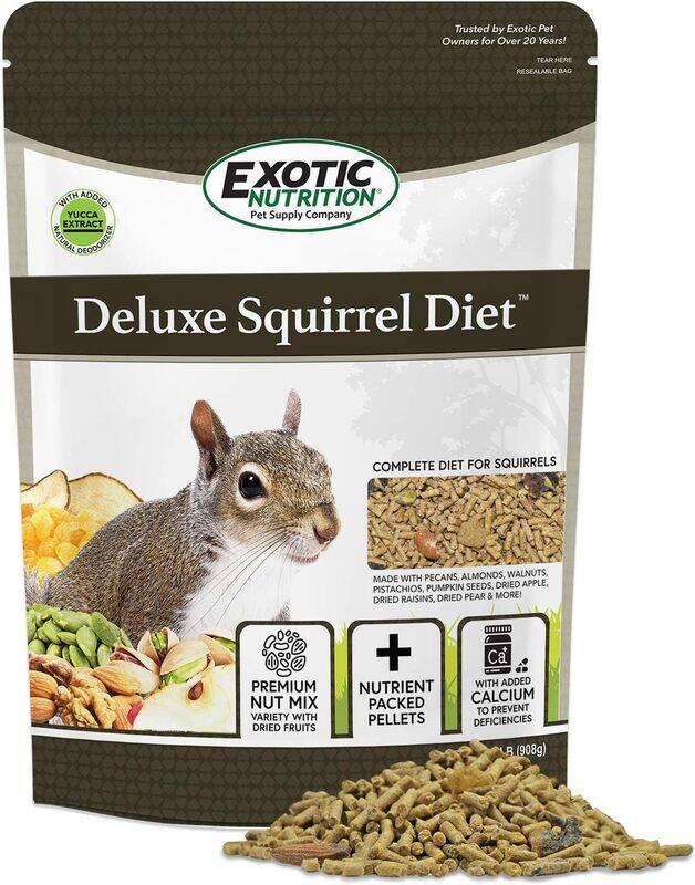 

Exotic Nutrition Deluxe Squirrel Diet 2LB