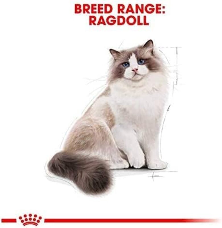 Royal Canin Feline Breed Nutrition Ragdoll Adult Cat Dry Food, 2 Kg