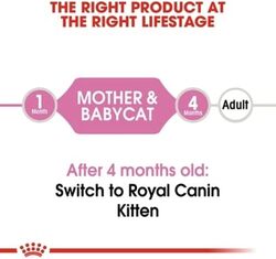 Feline Health Nutrition Mother & Babycat Mousse (WET FOOD - Cans)