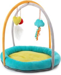 Kitty Play Gym